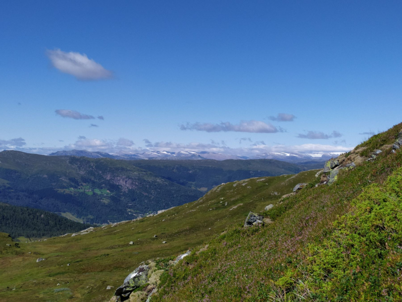 1-img-20210801-143231